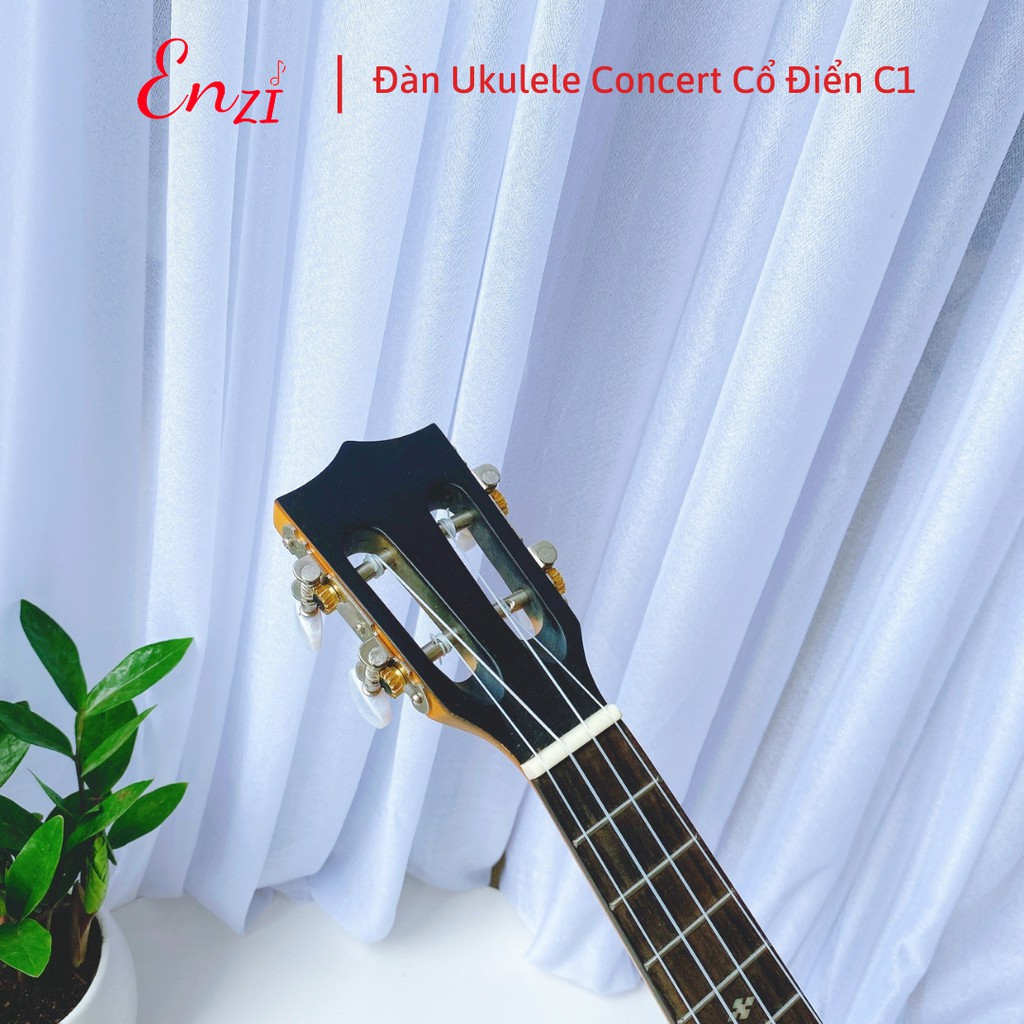 Đàn ukulele concert size 23 inch gỗ dáng khóa classic cổ điển giá rẻ chất lượng tốt Enzi