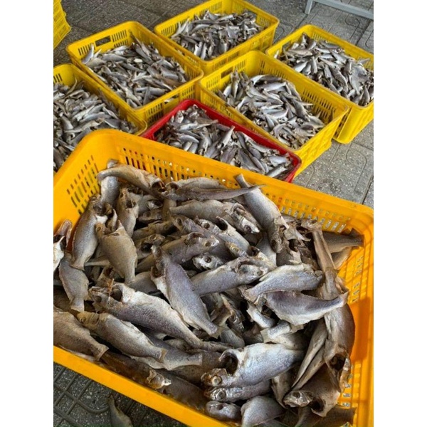 Khô đù 3 nắng size 20 30 con kí