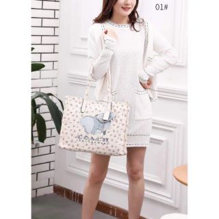 🌍🌍túi coach tote vải disney voi🌍