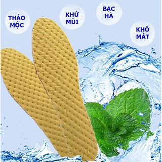 Lót Giày 💖FREESHIP Đơn 50k💖 Khi Nhập [LOTGIAY] Miếng độn giày chống hôi chân hương bạc hà