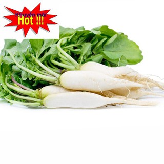 🍀HẠT GIỐNG CỦ CẢI ĂN LÁ, MUỐI DƯA🍀 NĂNG XUẤT CAO CHỐNG CHỊU SÂU BỆNH TẶNG KÍCH MẦM