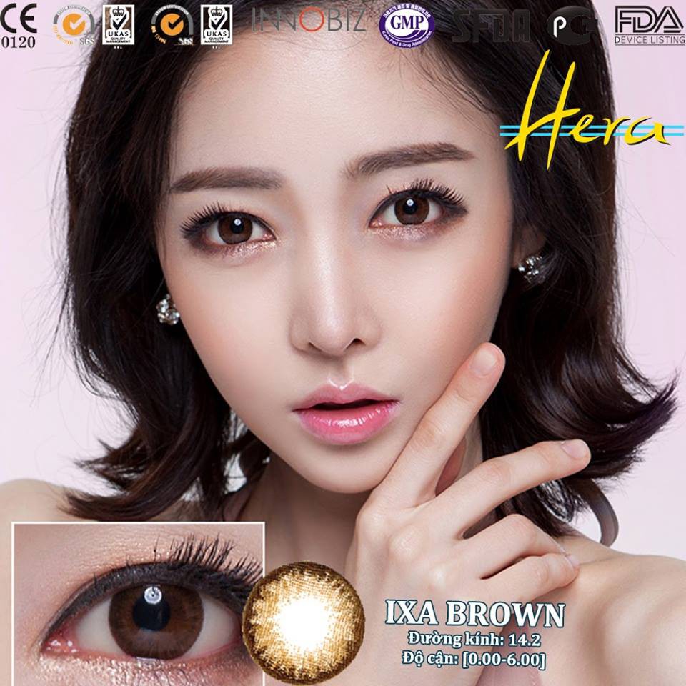 Lens mắt màu nâu áp tròng IXA brown 14.0mm, kính áp tròng có độ cận -0.00&gt;-6.00- Lens Optic