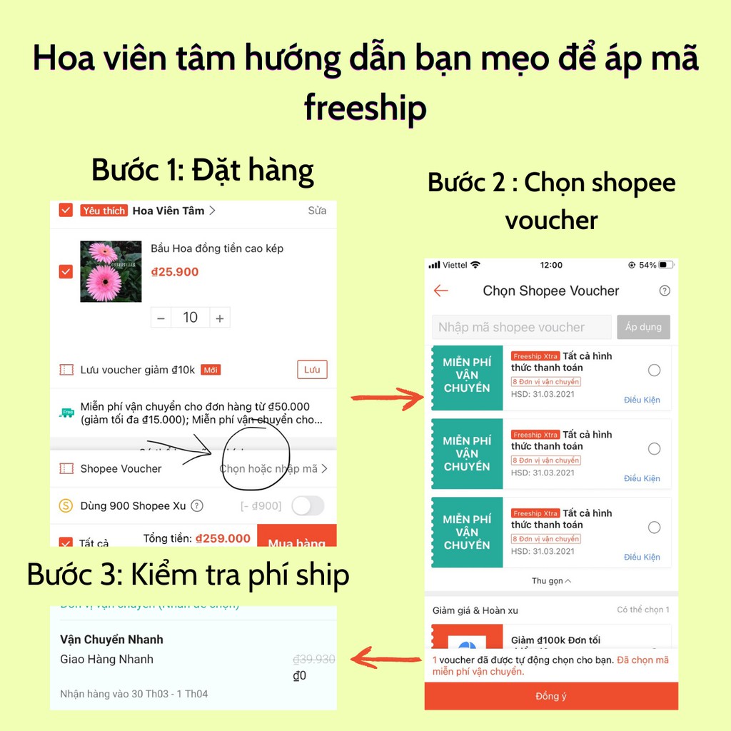 Bầu Hoa đồng tiền cao kép