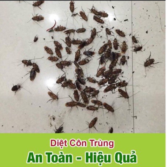 Xịt côn trùng phòng chống muỗi, kiến, gián an toàn cho bé chiết xuất 100% từ thiên nhiên