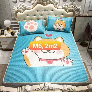 Chiếu Điều Hòa 4 mùa