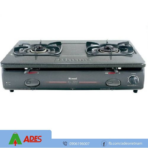 Bếp Gas Dương Rinnai RV - 4600GT