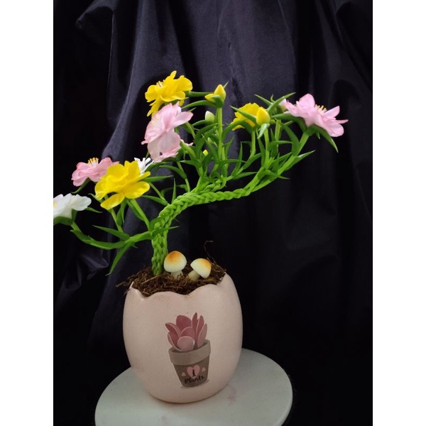 Chậu bonsai hoa mười giờ đất sét