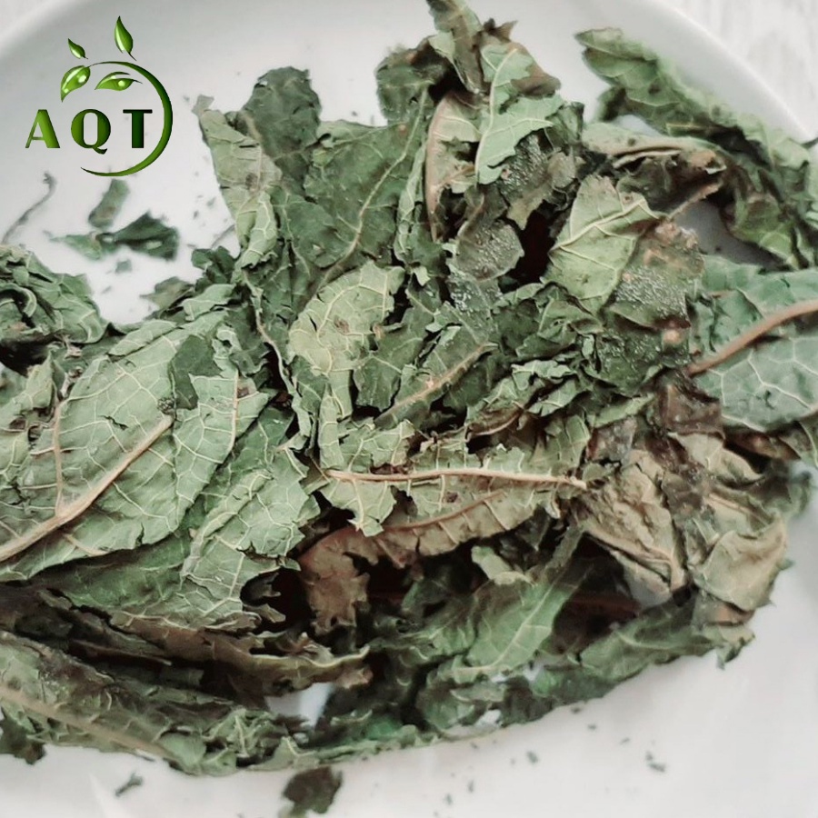 500g Lá Đu Đủ Đực [LOẠI 1] Phòng Ung Thư Phổi, Lá Đu Đủ Sấy Lạnh Xanh, Đẹp, Nguyên Chất