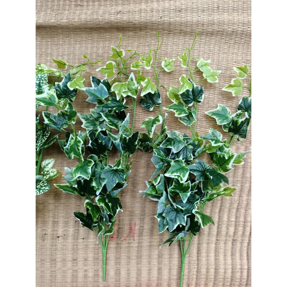 Cụm cành trầu bà chuyên dụng trang trí tường và ngoài vườn giống thật 99%