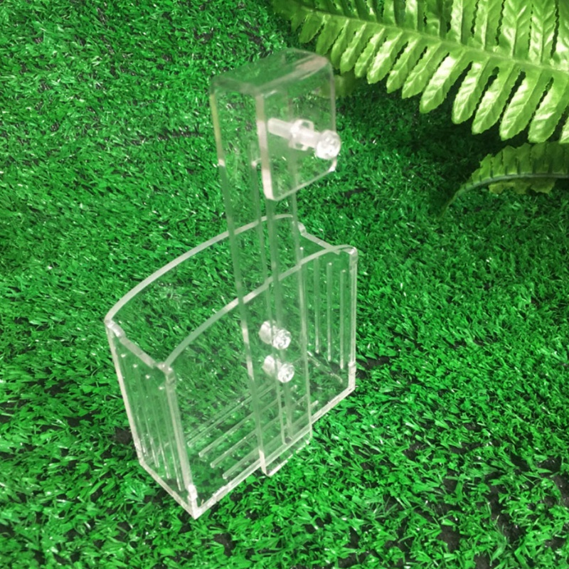 Bình Trồng Cây Thủy Sinh Bằng Nhựa acrylic Trong Suốt Có Giác Hút Treo Tường Tiện Lợi
