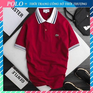 Áo Polo Nam Cổ Bẻ Chất Cá Sấu Hàng Cao Cấp, Áo Nam Có Cổ Hàng Xuất Khẩu 4 Màu Họa Tiết Cổ Áo Và Cánh Tay Sang Trọng