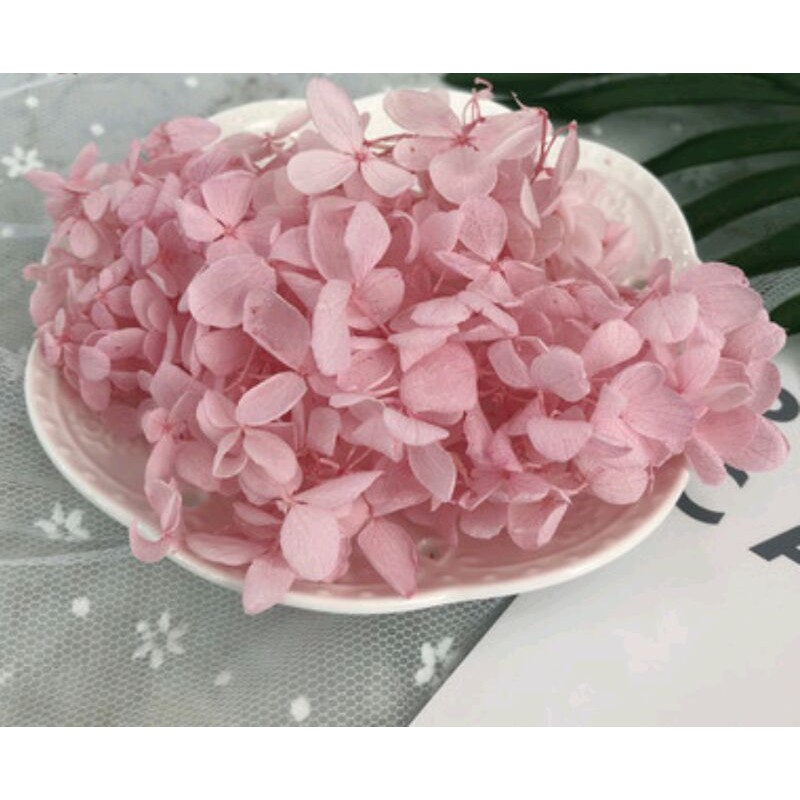 Hoa cẩm tú khô trang trí resin handmade, nail hoặc làm tranh