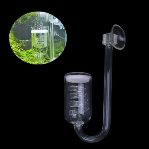 Bình Xịt Nước Tưới Cây Bằng Kính carbon dioxide co2