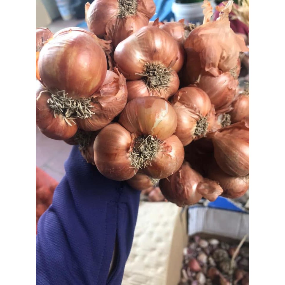 ⚡️ Hành ta khô kinh môn Hải Dương truyền thống siêu thơm ngon chuẩn vị giá rẻ