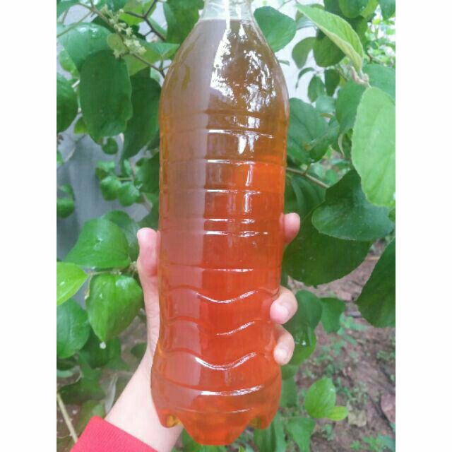 Mật ong rừng nguyên chất 1000ml