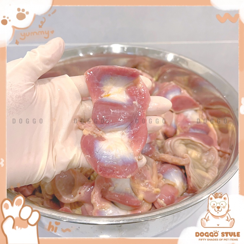 Treat Bánh Thường Mề Gà Sấy Khô DOGGOSTYLE Homemade Gói 50G 100G Cung Cấp Protein Dinh Dưỡng Cho Chó