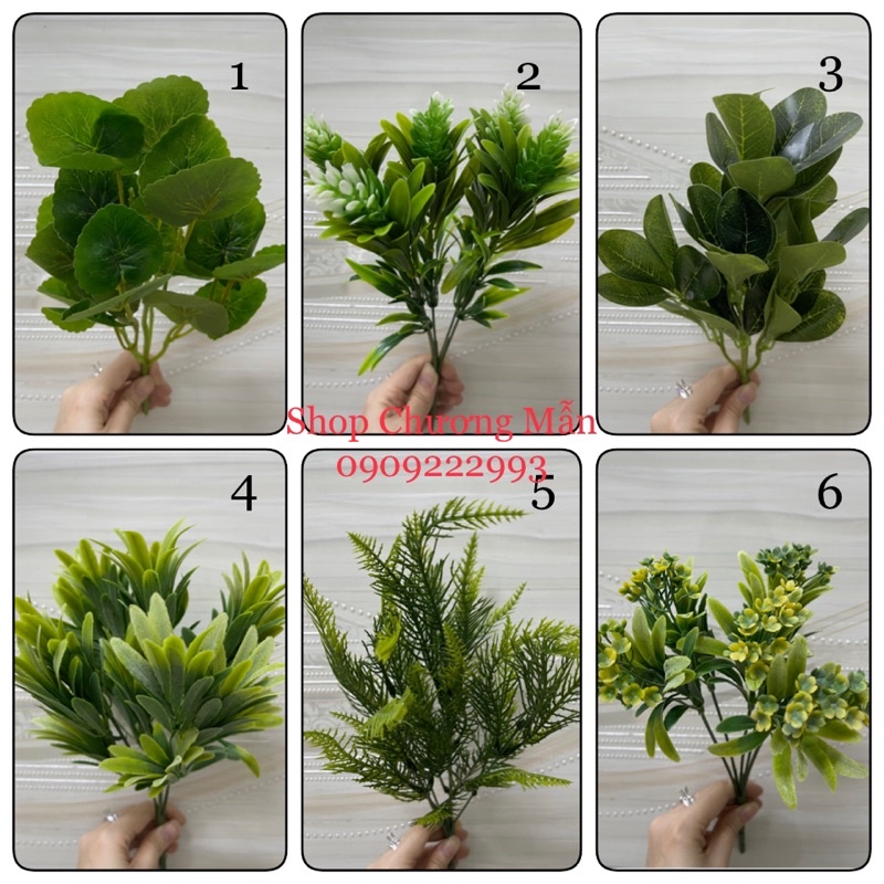 Cây Lá Nhựa/Cỏ Điểm Cao Cấp Decor Nhà, Cắm Hoa, Chậu Cây, Tường Cỏ, Chụp Ảnh Đủ Loại