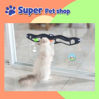 Đồ chơi quả bòng vui nhộn gắn tường cho mèo