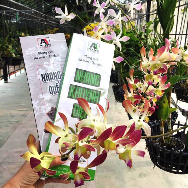 [COMBO 2 HỘP] Nhang sạch làm từ thảo mộc thiên nhiên 100%, Hương Quế và hương Khuynh Diệp - Nhang An An