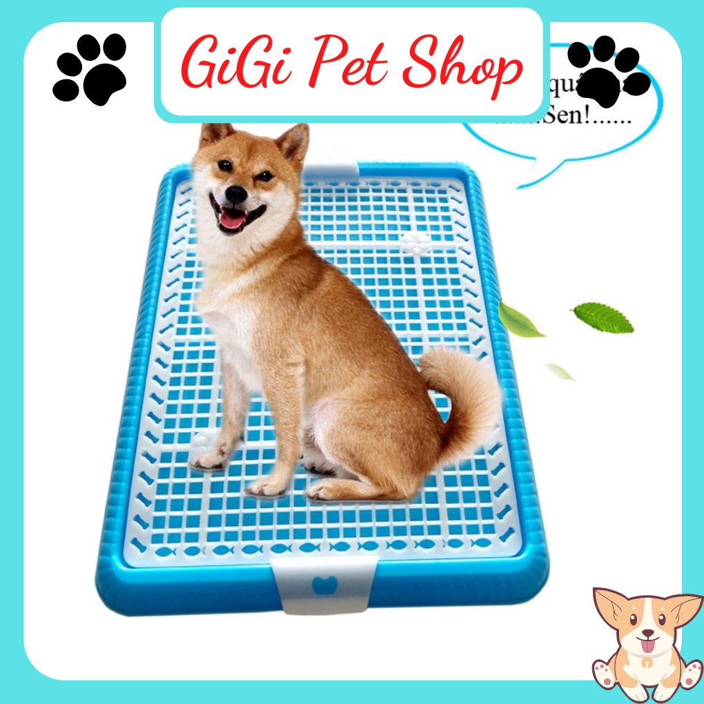 Khay vệ sinh size lớn cho chó thành thấp nhựa ABS cao cấp dễ xịt rửa phụ kiện thú cưng giá rẻ - GiGi Pet Shop
