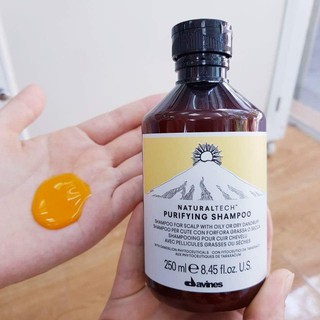 Dầu gội cho da đầu bị gàu DAVINES PURIFYING Shampoo (250ml)