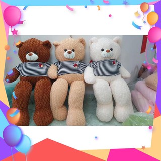 [Hàng loại 1] Gấu Bông Teddy kích cỡ 0,95, 1m1, gối ôm nâu bự khổng lồ siêu đáng yêu