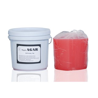 Thạch sao dấu mẫu nha khoa Agar Dental