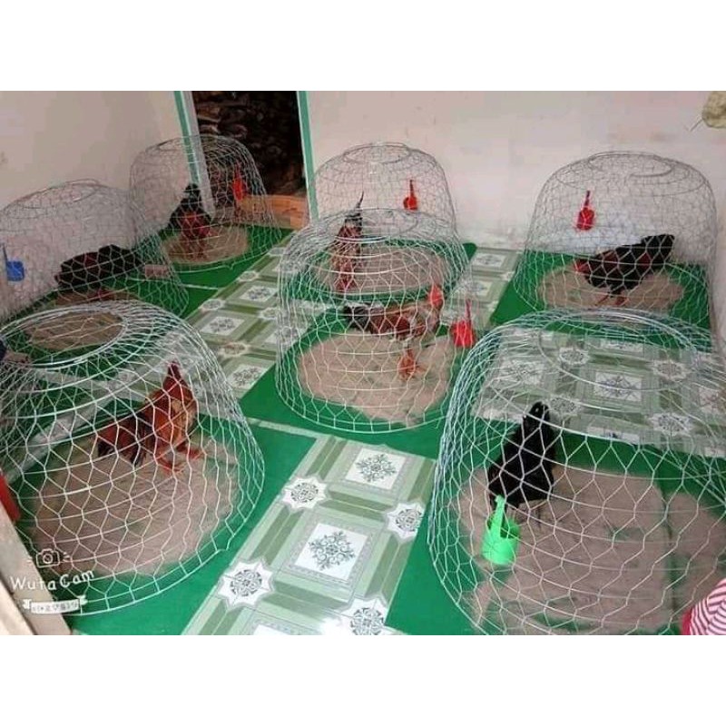 THẢM LÓT BỘI, THẢM LÓT , THẢM GÀ , THẢM NỈ , THẢM 1M.thảm lót bội ,chuồng gà.