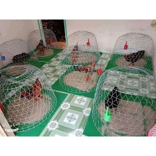 thảm lót bội ,chuồng gà.