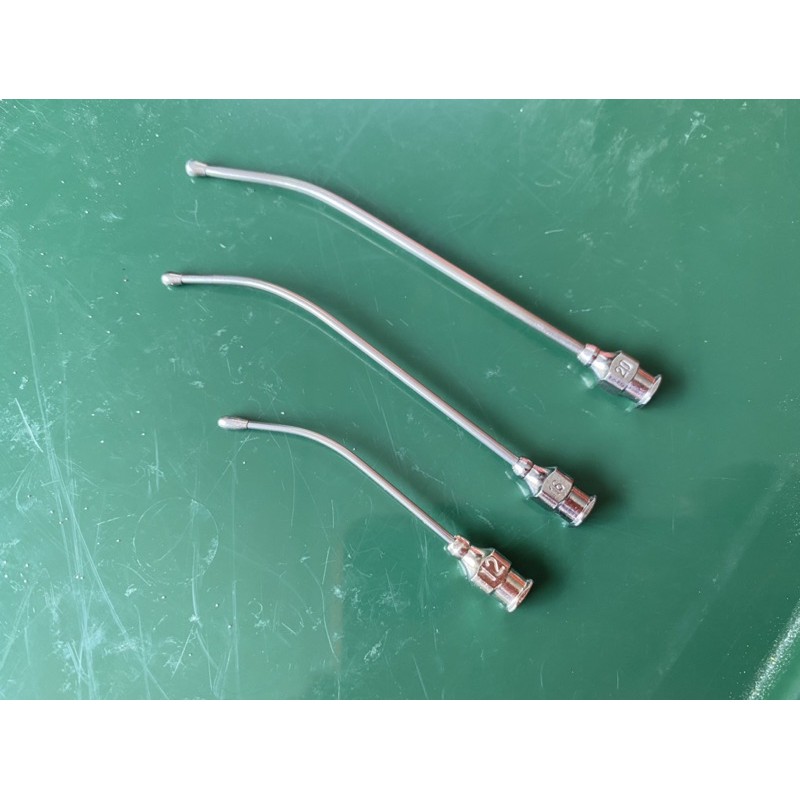 Ống đút cho vẹt con