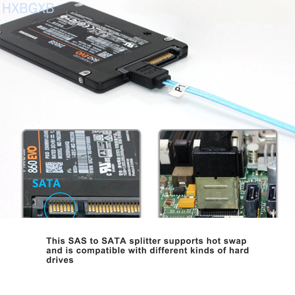 Cáp Chuyển Đổi Sas Sang Sata Mini Sas 8087 Sang Sata 3.0 36 Pin 1-drag-4 Hxbg