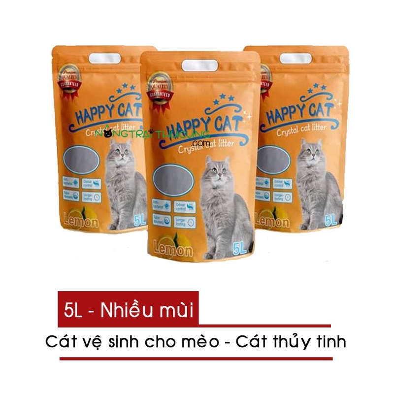 CÁT THUỶ TINH CHO MÈO HAPPY CAT