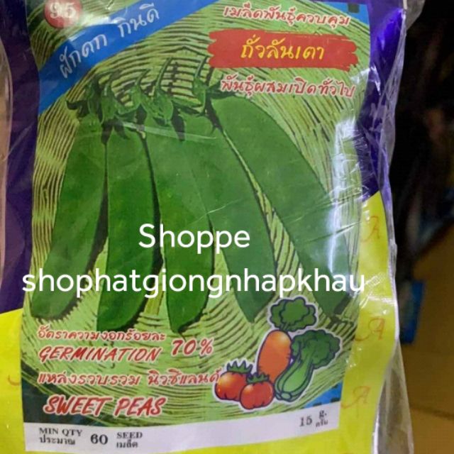 ĐẬU HÀ LAN QUẢ DẸT THÁI