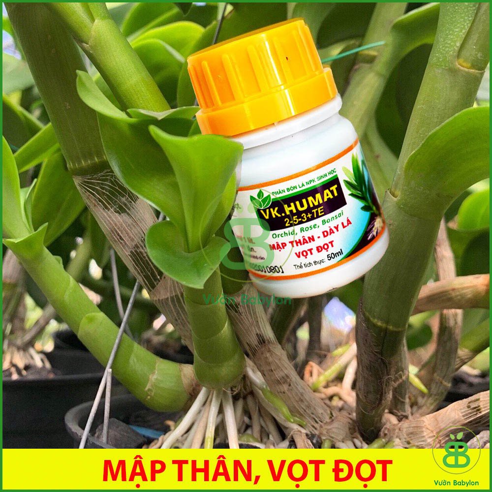 Phân Bón Lá Sinh Học Mập Thân, Dày Lá, Vọt Đọt Vk.Humat 50Ml