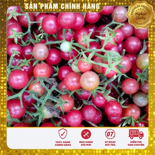 Hạt giống cà chua hồng LUCKY SEED -30 hạt