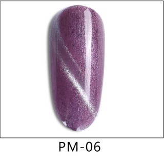 Sơn gel mắt mèo AS  mã PM chai 15ml