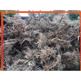 Lũa Xương Chùm 100g/30k 1kg