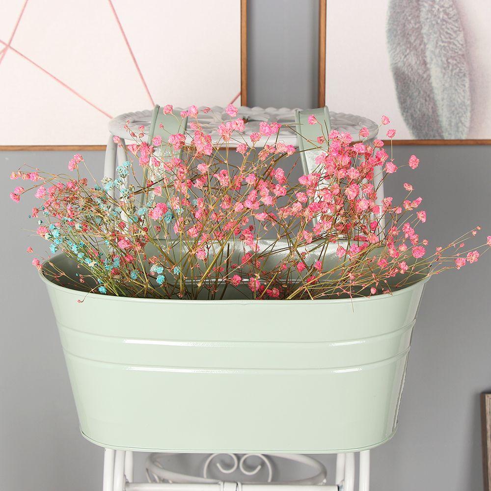 FAY Chậu Trồng Cây Treo Tường Bằng Kim Loại Trang Trí Nhà Cửa
