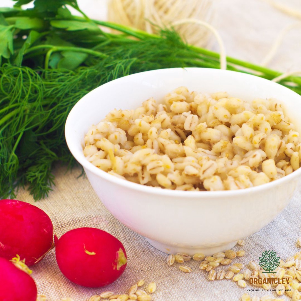Hạt Lúa Mạch Ngọc Trai Hữu Cơ Sottolestelle Organic Pearl Barley 500g - Hạt Dinh Dưỡng - Hạt Bo Bo - Ý Dĩ - Hạt Lúa Mạch