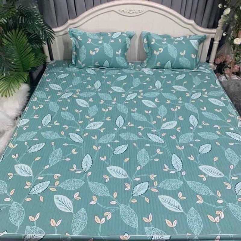 Bộ ga chun trần bông + 2 vỏ gối trần bông Cottong poly dày dặn