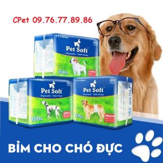 Combo 10 bịch bỉm Pet Soft Size M cho chó giống đực