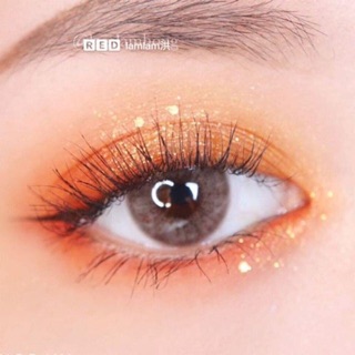 [HÀNG HOT] Bảng Mắt Colourpop GOOD AS GOLD