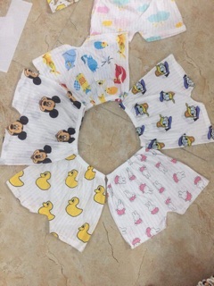 Quần chục cotton giấy