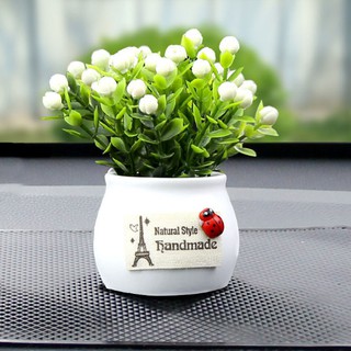 Chậu Hoa Mini Để Taplo Ô Tô, Để Bàn Trang Trí-đẹp
