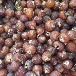 Quả bồ hòn tách hạt loại 1(Mua 1kg bồ hòn tặng kèm 1kg đường ngâm enzym bồ hòn