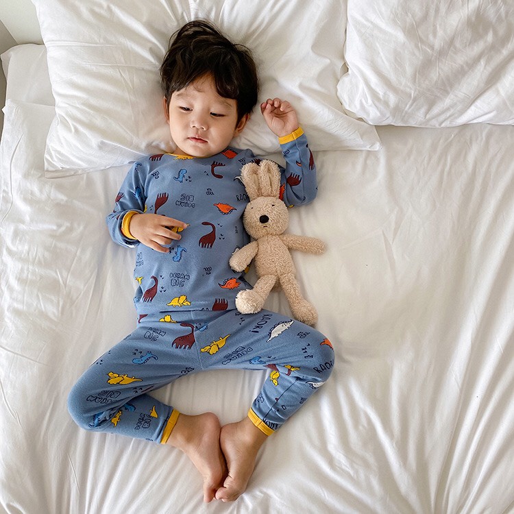 Bộ thu đông dài tay cho bé AMBB KIDS vải cotton mềm đẹp - Hàng Quảng Châu Cao Cấp - BẢNG MÀU 2