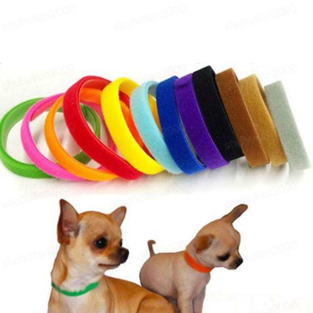Vòng Cổ Nylon Nhiều Màu Có Thể Tái Sử Dụng Cho Thú Cưng