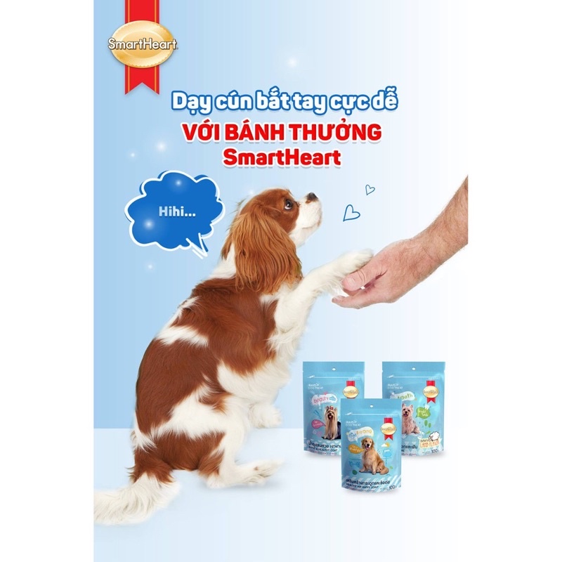 Snack Bánh Thưởng Smartheart Cho Chó Mọi Lứa Tuối - Mixo Pet Town