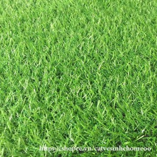 [ 1.2M x 0.5m ] Tấm cỏ nhựa nhân tạo - cỏ dày cao 2cm