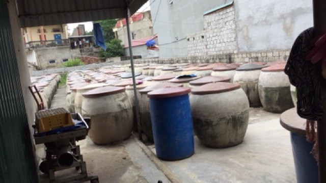 [FREESHIP 99K TOÀN QUỐC]Mắm tép chưng thịt Ba Làng Tĩnh Gia Thanh Hoá | BigBuy360 - bigbuy360.vn